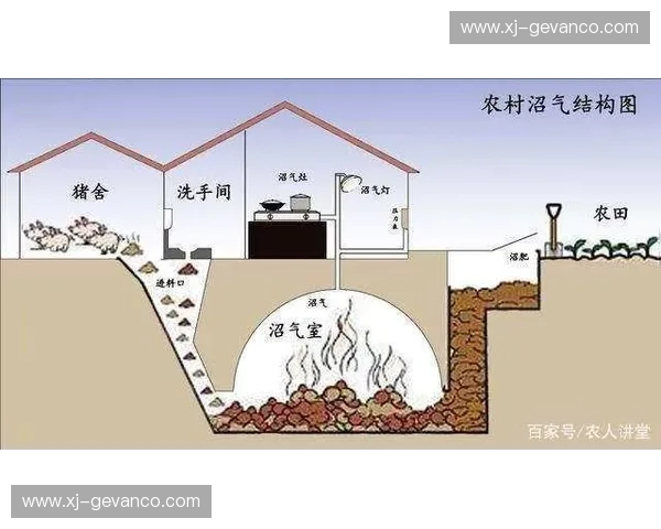 湿度变化对人体健康、环境适应及物质性能的综合影响分析